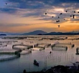 百色伴游中国网景点丰富(旅游网介绍)