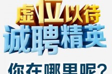 百色青海伴游雇用(青海湖旅游公司雇用)