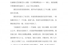 百色旅游感想(张家界旅游感想)
