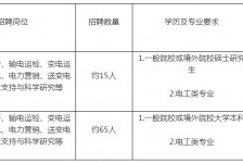 百色重庆有雇用伴游外围吗(高端外围伴游雇用一单一结)