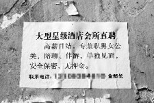 百色珠海伴游雇用网(珠海游览社雇用信息)