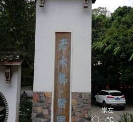 百色关于伴游中国伴游你们伴得是什么游的信息