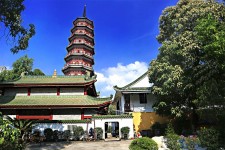 百色广州自由行(广州 自由行)