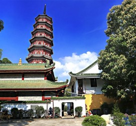 百色广州自由行(广州 自由行)