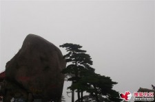 百色上海伴游私家陪游雇用女模(上海伴游私家陪游雇用女模特)