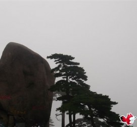 百色上海伴游私家陪游雇用女模(上海伴游私家陪游雇用女模特)
