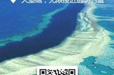 百色中国250家旅行社结伴游新西兰(新西兰当地旅行社)