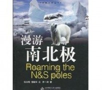 百色游记攻略(ps西游记攻略)