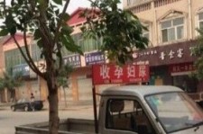 百色上海伴游 用伴游造句大全(5