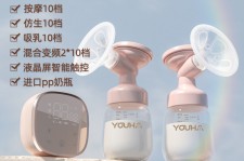百色奶模(奶模型)