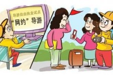 百色伴游是什么