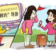 百色伴游是什么