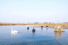 百色南昌附近伴游小妹兼职(1534939978姐的微信德惠市)
