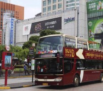 百色上海私人伴游 上海过年怎么玩？这些“微游”线路了解下→