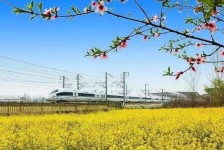 百色高铁游(高铁游戏下载手机版)