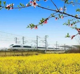 百色高铁游(高铁游戏下载手机版)