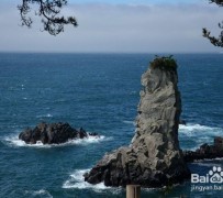 百色旅游全攻略(上海旅游全攻略)