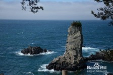 百色旅游全攻略(上海旅游全攻略)