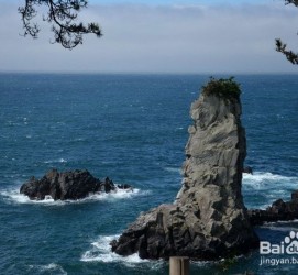 百色旅游全攻略(上海旅游全攻略)