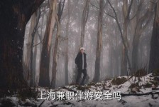百色上海私人伴游 上海伴游，上海兼职伴游安全吗