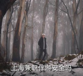 百色上海私人伴游 上海伴游，上海兼职伴游安全吗