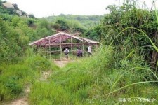 百色北海伴游兼职雇用信息(北海伴游兼职雇用信息大全)