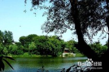 百色西湖旅游攻略(上海到杭州西湖旅游攻略)