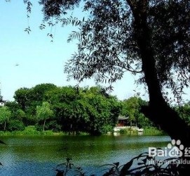 百色西湖旅游攻略(上海到杭州西湖旅游攻略)