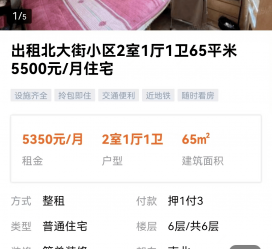 百色私人伴游是什么 “过年租友”陷阱：骗财与色情服务