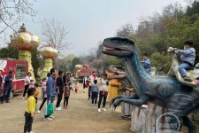 百色中国伴游带你打卡网红南山竹海(南山竹海网上预约)