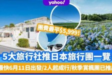 百色旅游价格(旅游价格机制)