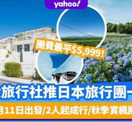 百色旅游价格(旅游价格机制)