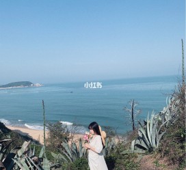 百色厦门周边游(厦门及周边旅游攻略)