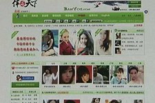 百色home伴游中国(zarahome乳胶枕)