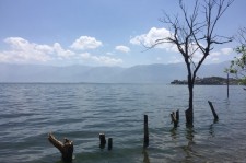 百色洱海旅游攻略(洱海旅游攻略自由行)