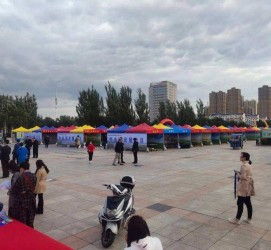百色通辽伴游雇用(哈尔滨伴游雇用)