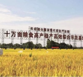 百色关于成都商务伴游外围雇用的信息
