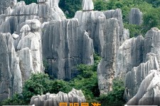 百色贵阳市游览社英语伴游雇用(贵阳市前十名游览社是哪几家)