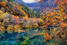 百色四川旅游攻略(四川旅游攻略十五日游)