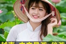 百色日本关东伴游中国(日本关西旅行)