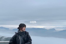 百色四日游(朝鲜四日游)