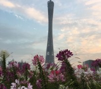 百色广州旅游攻略(杭州到广州旅游攻略)