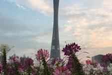 百色广州旅游攻略(杭州到广州旅游攻略)