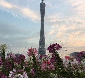 百色广州旅游攻略(杭州到广州旅游攻略)
