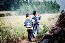 百色河南一家四口结伴游中国2个月(河南适合一家四口旅游的地方)