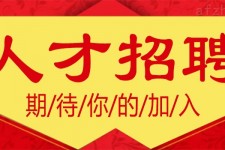 百色上海伴游招聘 招聘 | 浦东机场专柜销售