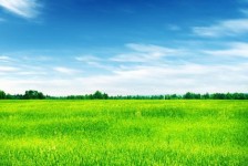 百色上海伴游 上海模特伴游微信号的交友宣言