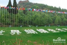 百色昆明旅游攻略(昆明旅游攻略景点大全抚仙湖)