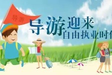 百色私人伴游 “网约导游”到底是正流行 还是不热闹