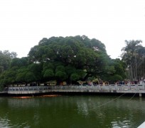 百色福州旅游攻略(福州旅游攻略二日游)